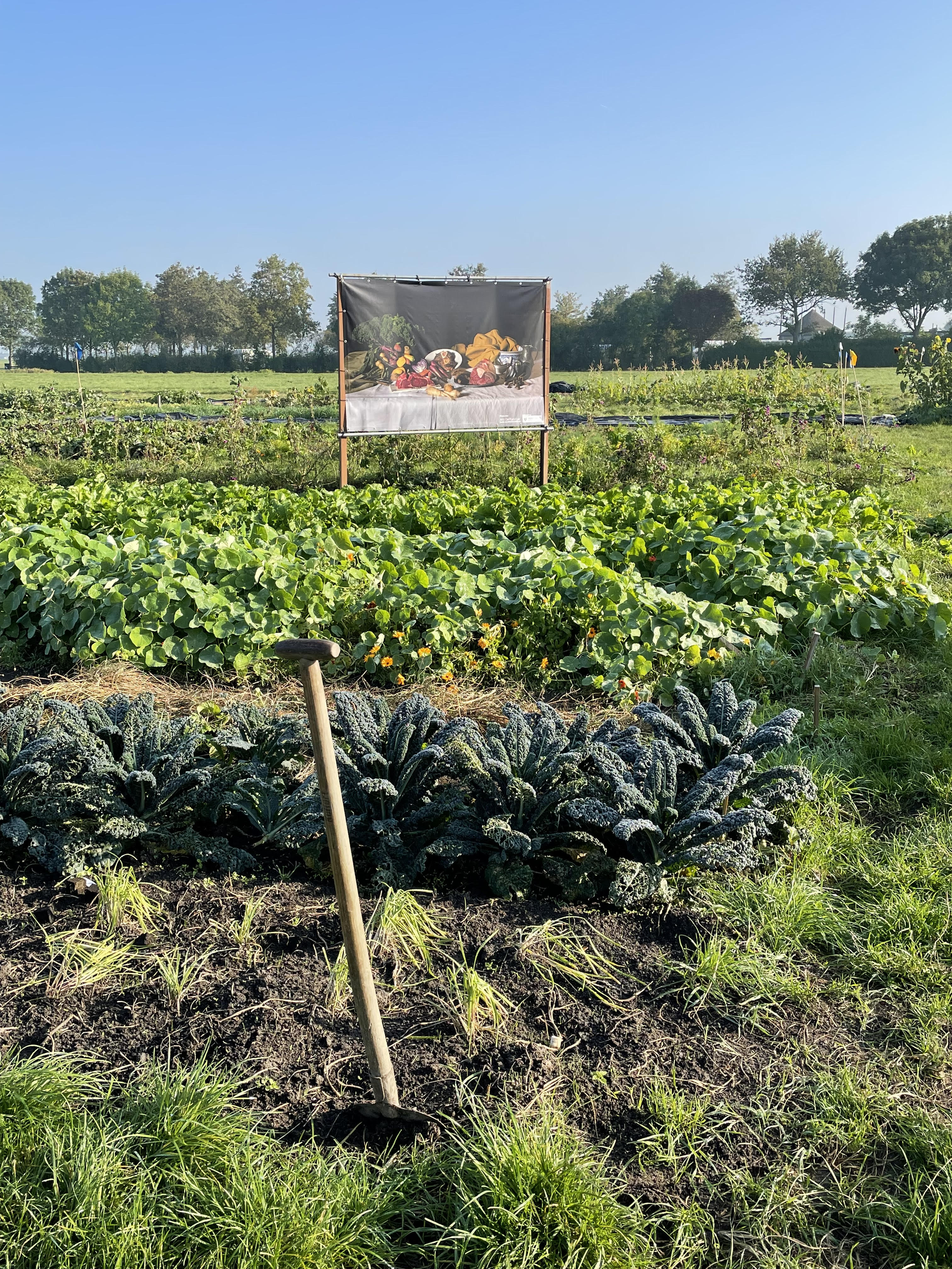 Moestuinderij Maasland okt 21